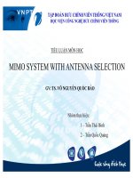 BÁO CÁO THỰC TẬP-TIỂU LUẬN MÔN HỌC MIMO SYSTEM WITH ANTENNA SELCETION