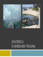 BÀI BÁO CÁO-CHƯƠNG 5.Ô NHIỄM MÔI TRƯờNG