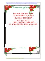 ĐỔI MỚI PHƯƠNG PHÁP VÀ HÌNH THỨC DẠY HỌC BÀI SOẠN TỔNG HỢP LỚP 2 TUẦN  31 THEO PHƯƠNG PHÁP MỚI VÀ THEO CHUẨN KTKN MÔN HỌC.