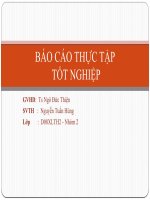 BÁO CÁO THỰC TẬP-TỔNG QUAN VỀ CHUẨN NÉN MPEG-4 H.264 AVC VÀ ỨNG DỤNG