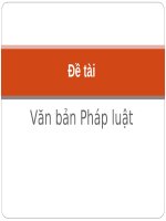 BÁO CÁO THỰC TẬP-Văn bản Pháp luật