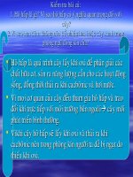 Bai 24. Phan lon nuoc vao cay di dau?