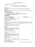 Giáo án  Khoa học lớp 4 cả năm_CKTKN_Bộ 6