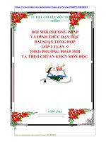 ĐỔI MỚI PHƯƠNG PHÁP VÀ HÌNH THỨC DẠY HỌC BÀI SOẠN TỔNG HỢP LỚP 2 TUẦN  9 THEO PHƯƠNG PHÁP MỚI VÀ THEO CHUẨN KTKN MÔN HỌC.