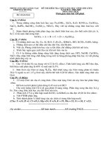 DE THI HOC SINH GIOI HOA NAM 2008-2009