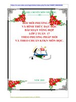 ĐỔI MỚI PHƯƠNG PHÁP VÀ HÌNH THỨC DẠY HỌC BÀI SOẠN TỔNG HỢP LỚP 2 TUẦN  17 THEO PHƯƠNG PHÁP MỚI VÀ THEO CHUẨN KTKN MÔN HỌC.