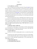 BÁO CÁO THỰC TẬP-Kế toán bán hàng và xác định kết quả kinh doanh tại công ty TNHH Nhật Tinh