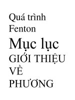 BÁO CÁO THỰC TẬP-QUÁ TRÌNH FENTON