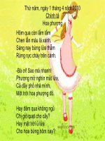 chinh ta : hoa phuong. tuan 29