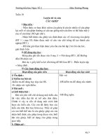 Giáo án Luyện từ và câu lớp 5 HK2_CKTKN_FULL