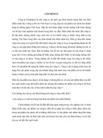 Chiến lược đa dạng hoá sản phẩm của công ty prudenso