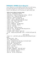 PHRASAL VERBS (Cụm động từ)