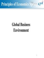 Global business environment