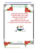 ĐỔI MỚI PHƯƠNG PHÁP VÀ HÌNH THỨC DẠY HỌC BÀI SOẠN TỔNG HỢP LỚP 2 TUẦN  12 THEO PHƯƠNG PHÁP MỚI VÀ THEO CHUẨN KTKN MÔN HỌC.