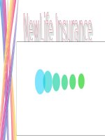 BÁO CÁO THỰC TẬP-Sản phẩm bảo hiểm sắc đẹp