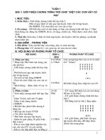 Giáo án thể dục lớp 2 cả năm_CKTKN