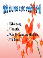 NGOAI KHOA TO SU DIA NHAC