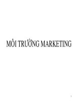 BÁO CÁO THỰC TẬP-MÔI TRƯỜNG MARKETING
