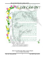 Báo cáo tổng kết thựu tập sư phạm năm 3