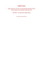 Ngày 26/03/2011 Tổ chức KN 80 năm thành lập Đoàn TN CS HCM