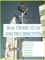 BÁO CÁO THỰC TẬP-Đề tài TÌM HiỂU VỀ CÁC GIAO THỨC ĐỊNH TUYẾN