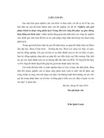 Nghiên cứu giải pháp chỉnh trị đoạn sông phân lạch Trung Hà trên sông Đà phục vụ giao thông thủy bằng mô hình toán