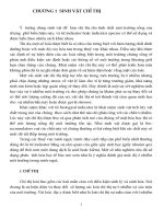 tài liệu CHỈ THỊ MÔI TRƯỜNG