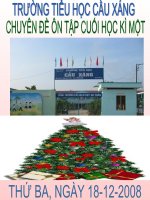 CHUYÊN ĐỀ ÔN TẬP LỚP 5