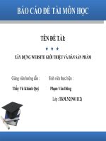 slide xây dựng website giới thiệu và bán sản phẩm công nghệ