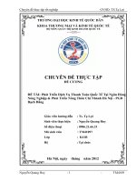 luận văn tài chính ngân hàng Phát triển dịch vụ Thanh Toán Quốc Tế tại Ngân hàng Nông Nghiệp & Phát triển Nông Thôn chi nhánh Hà Nội - PGD Bạch Đằng.