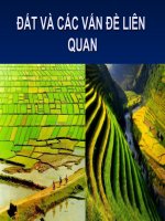 Tài nguyên rừng