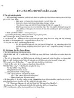 Chuyên đề Hồ Xuân Hương