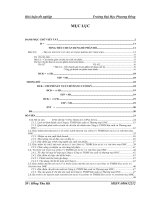 luận văn kế toán  Hoàn thiện công tác kế toán chi phí sản xuất và tính giá thành sản phẩm tại Công ty TNHH Sản Xuất và Thương Mại ONC