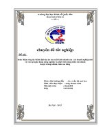 luận văn Hoàn thiện công tác thẩm định dự án sản xuất kinh doanh của các doanh nghiệp nhỏ và vừa tại Ngân hàng Nông nghiệp và phát triển nông thôn chi nhánh huyện Trùng Khánh, tỉnh Cao Bằng