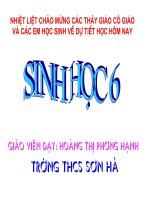 Simh Sản Sinh Dưỡng tự nhiên