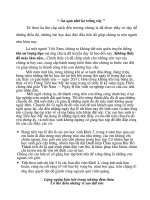 Loi binh le dieu hanh 20/11