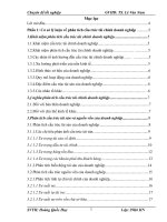 luận văn quản trị tài chính  Phân tích cấu trúc tài chính tại khách sạn Fortuna