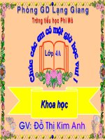 Nhu cầu nước của thực vật ( Thi GVG)