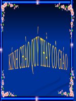 Tiết 138, 139 ÔN TẬP TIẾNG VIÊT VIỆT