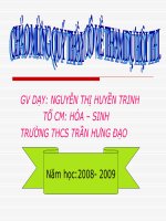 Bài 23:Cây có hô hấp không?