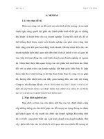 PHÂN TÍCH ĐÁNH GIÁ THỰC TRẠNG VÀ ĐỀ XUẤT MỘT SỐ GIẢI PHÁP NÂNG CAO HOẠT ĐỘNG TÀI CHÍNH CỦA CÔNG TY CỔ PHẦN ĐẦU TƯ XÂY DỰNG VÀ KINH DOANH BẤT ĐỘNG SẢN