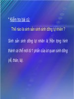 bài 27: sinh san sinh dưỡng do người