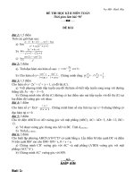 Đề thi HK II và đáp án Toán 11 - Đề số 3