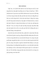 Phân tích tìm hiểu chiến lược thâm nhập thị trường và các thủ đoạn chuyển giá của công ty đa quốc gia hiện nay