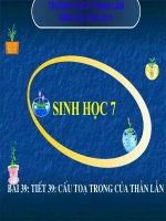 Bài 39. Cấu tạo trong của thằn