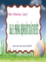 phong benh sot xuat huyet