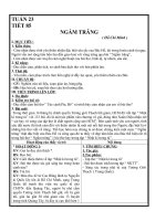 NV8 TUAN 15- 30(DAO)