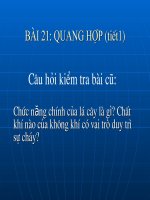 Giao an trinh chieu dien tu