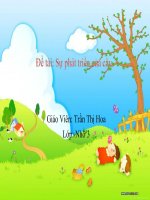 Giáo án 3 tuổi về sự phát triển của cây