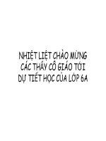 BIẾN DẠNG CỦ THÂN KO TẢI THÌ PHÍ